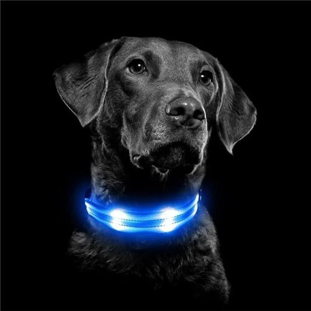 Led Dog Collar, Rechargeable Light Up Collar Waterproof, Blue